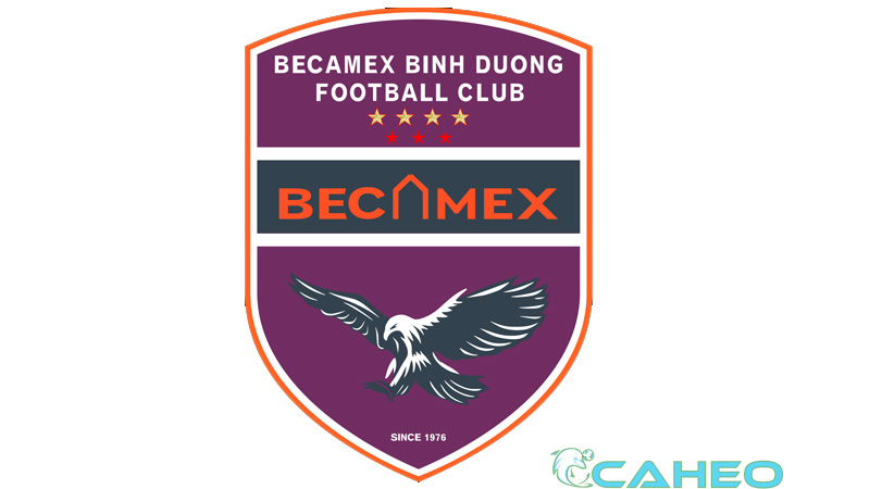 CLB Becamex Bình Dương - Cơn lốc miền Đông của nền bóng đá Việt